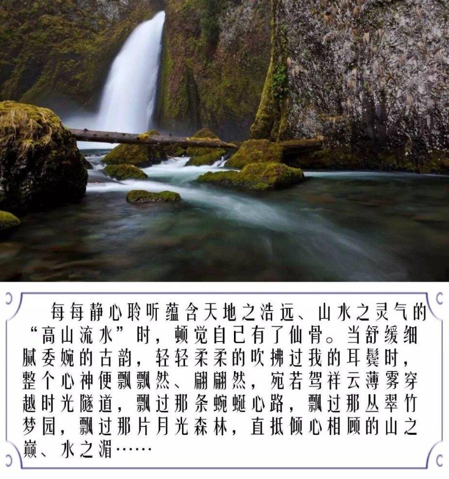 小猫钓鱼开船版最新版下载